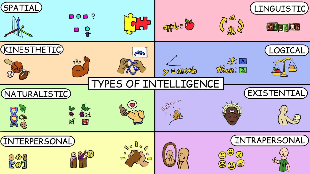 This is an image separated into 8 sections with three drawn 
		images or symbols per section. The title in the 
		center is “Types of Intelligence.” The first 
		section in the upper left is labelled “Spatial.”
		Its first image on the left is a depiction of a 3-dimensional
		graph with a ball bouncing on it. In the center of the section
		is a pattern of squares and circles, representing pattern 
		recognition. To the right is a depiction of two puzzle pieces
		fitting together. 
		The section below is labelled “Kinesthetic.”
		The first image on the left is of sports equipment (sports
		balls and a baseball bat). The second image is of a flexing
		arm. The third image shows hands trying to tie a string into 
		a knot based on a sample image. 
		The next section below is labelled “Naturalistic.”
		The leftmost image is of a DNA strand beside a leaf, a fruit 
		fly, and a human face. The central image shows two similar 
		berries, one with rounded and the other with pointed leaves.
		One is marked with a check mark while the other has a skull
		next to it and is marked with a red x. The third image shows 
		a hand reaching down to a dog, who expresses love in return.
		The last section on the left side of the image is labelled as
		“Interpersonal.” The image on the left shows two 
		people conversing, one asking a question. The second image
		shows two people standing at lecterns, with one expressing
		an idea (represented by a light bulb). The last image is of 
		two hands joined together.
		On the right side of the picture, the top section is labelled
		“Linguistic.” The first image in this section shows
		the text “apple =” beside a drawing of an apple. 
		The next image shows the letter “a” above the 
		japanese hiragana character for “a” with arrows
		circling between them, representative of translation between
		multiple languages. The image on the right shows multicolor
		wooden letter blocks. 
		The next section is labelled as “Logical.” Its 
		first image shows a 2-dimensional graph with a line plotted 
		on it above the text “y = ax + b.” The second 
		image shows the text “if: A, then: B.”
		The third image shows a scale comparing the masses of an
		orange and an apple. 
		The section below is labelled “Existential.”
		The first image shows a person standing beside a telescope
		looking up at a falling comet in the sky. The next image 
		depicts a person with their eyes closed, but they have a 
		third eye open upon their forehead. The third image shows
		a person holding a skull. 
		The final section is labelled “Intrapersonal.”
		The first image shows a person contemplating their reflection
		in a mirror. The next image shows a circle of faces representing
		different emotions. Clockwise from the top, the emotions shown 
		are happiness, shock, fear, anger, disgust, and sadness. The 
		third image shows a person with faces on both sides of their
		head; one side is smiling and giving a thumbs up while the 
		other side is frowning. 