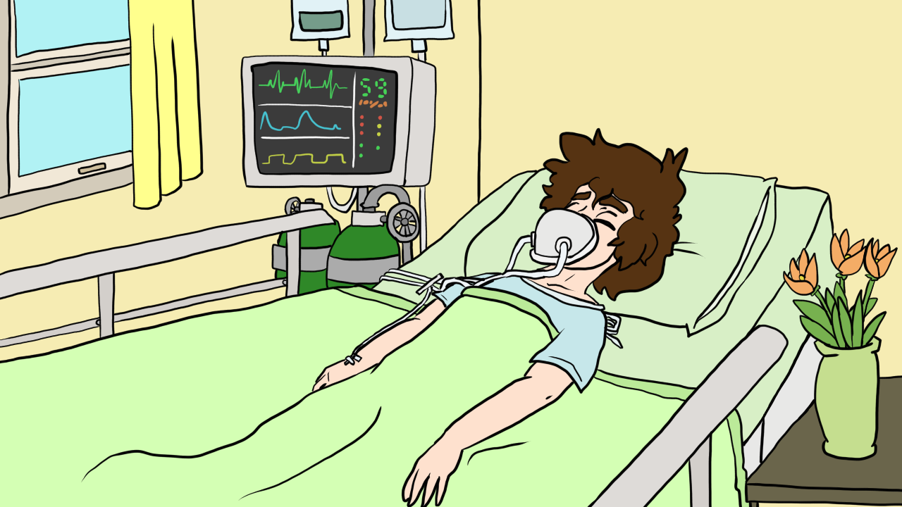 This image shows a young, comatose boy laying in a hospital 
		bed.
		He is hooked up to an IV, a vitals monitor, and oxygen. There 
		are flowers in a vase on a table beside the bed.